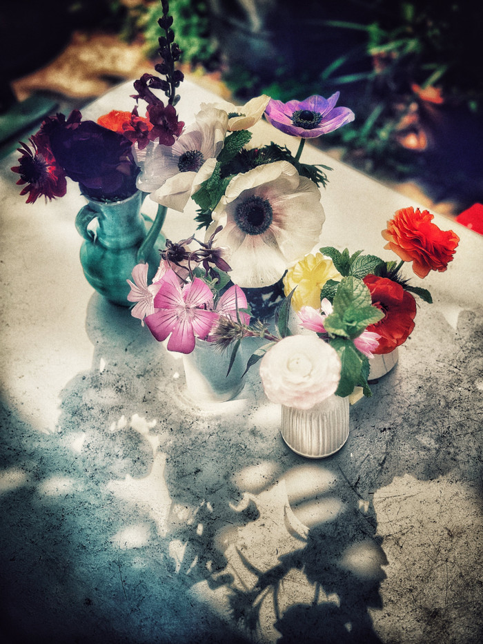 Collection 83 photo by Zoe Calichman