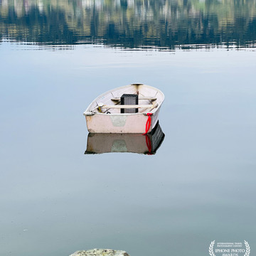Photo de galerie 10