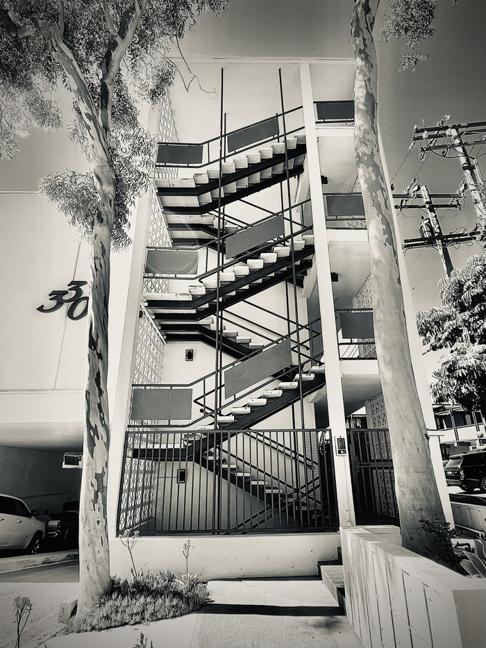 Collection 91 photo by Cam Green