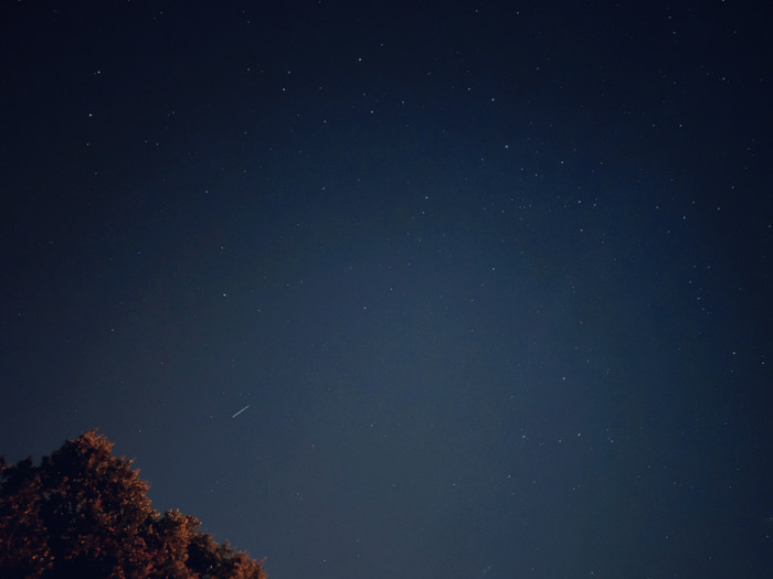 Collection 72 photo by Lotje Pulles