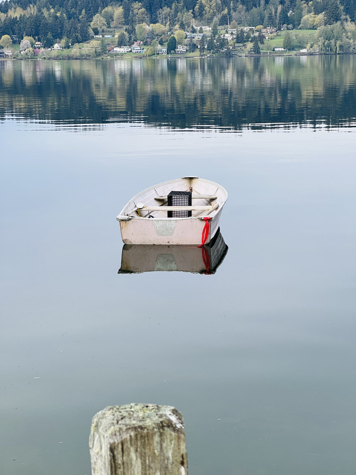 Collection 56 photo by Pam Sproul