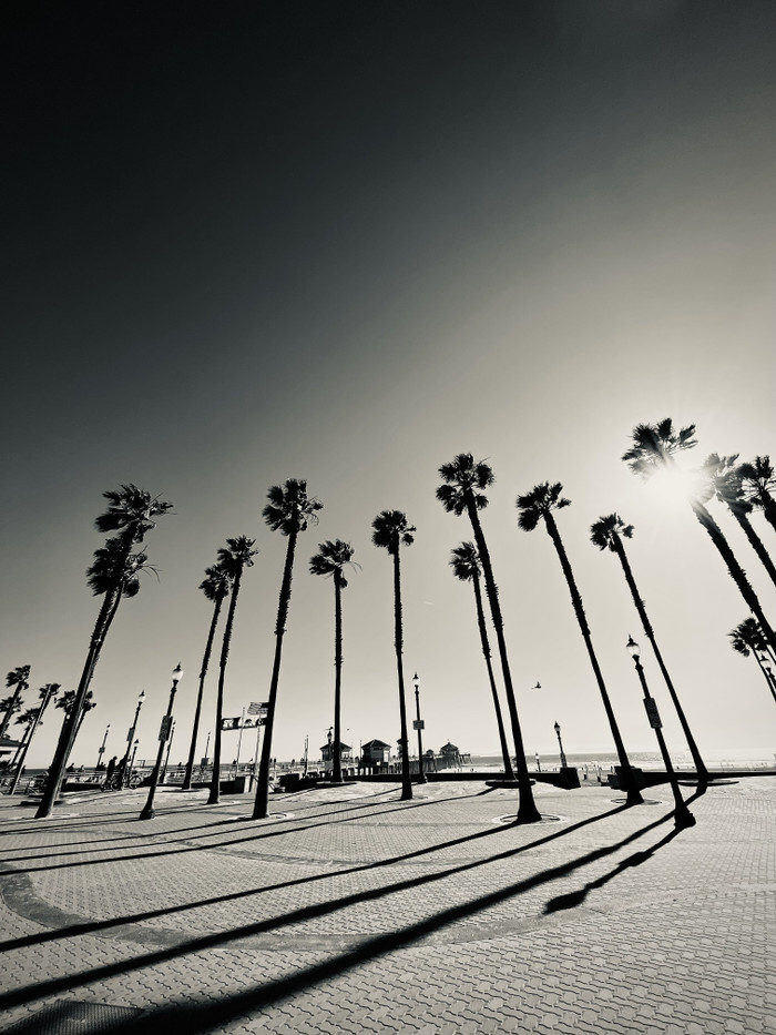 Collection 91 photo by Cam Green
