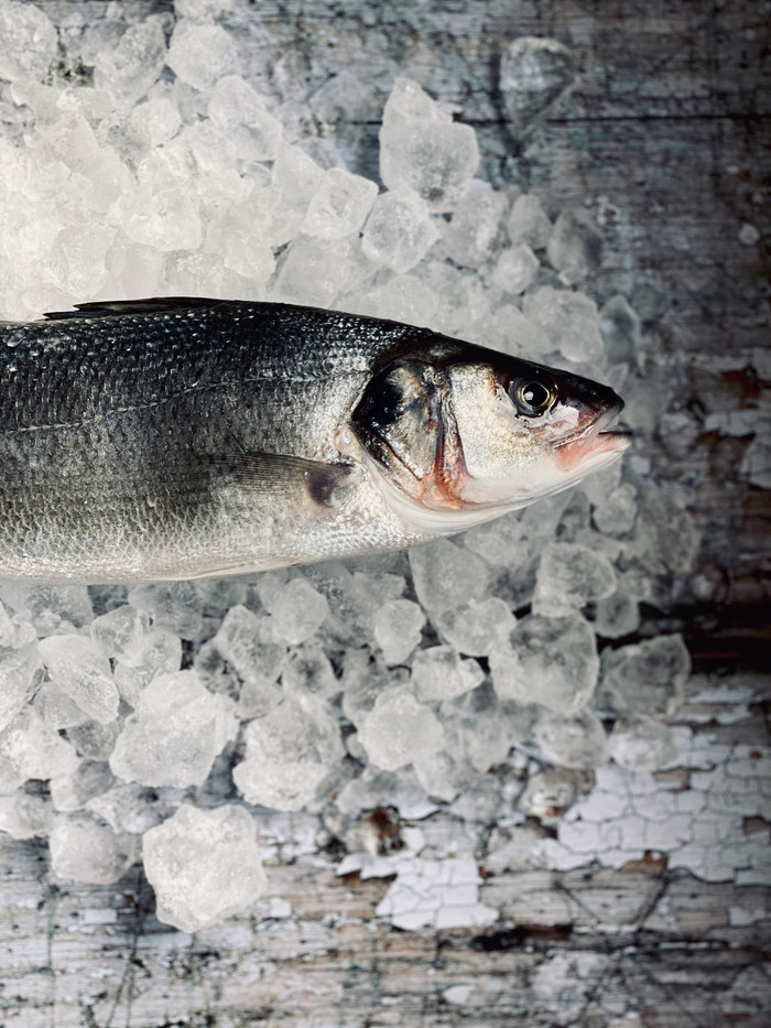Collection 30 photo by Abbie Asadi