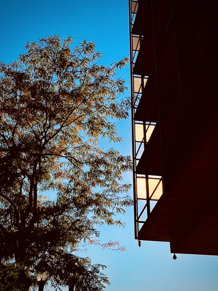 Collection 85 photo by Cam Green