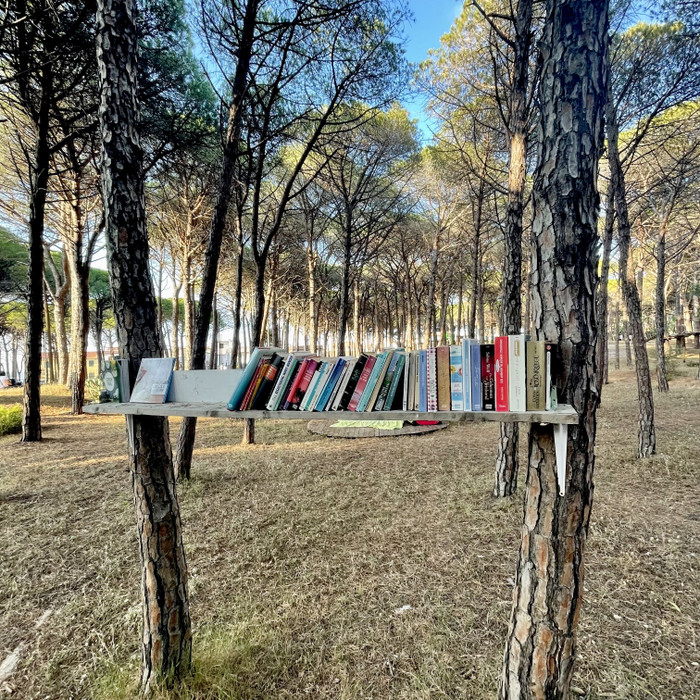 Collection 71 photo by Maurizio Zanetti