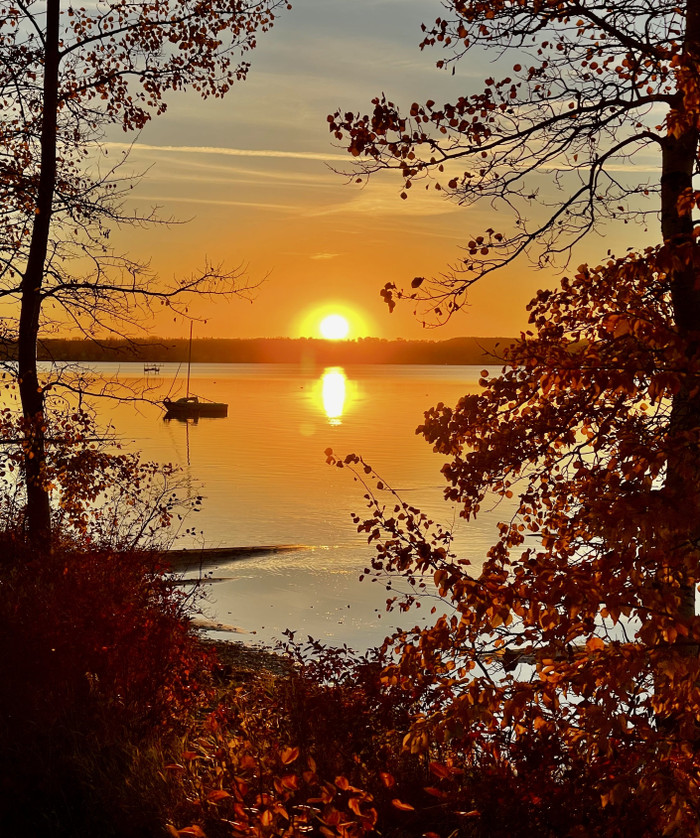 Collection 62 photo by Sheree Zielke