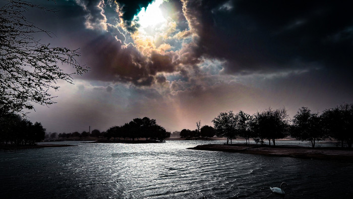 Collection 53 photo by Naveen Aggarwal