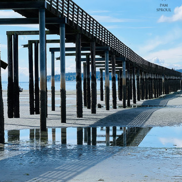 Photo de galerie 9