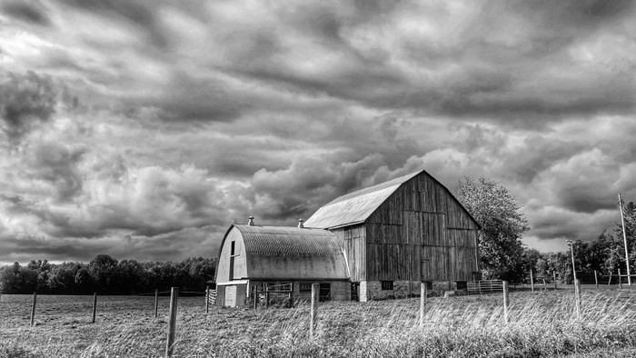Collection 65 photo by Dianne Mccarthy