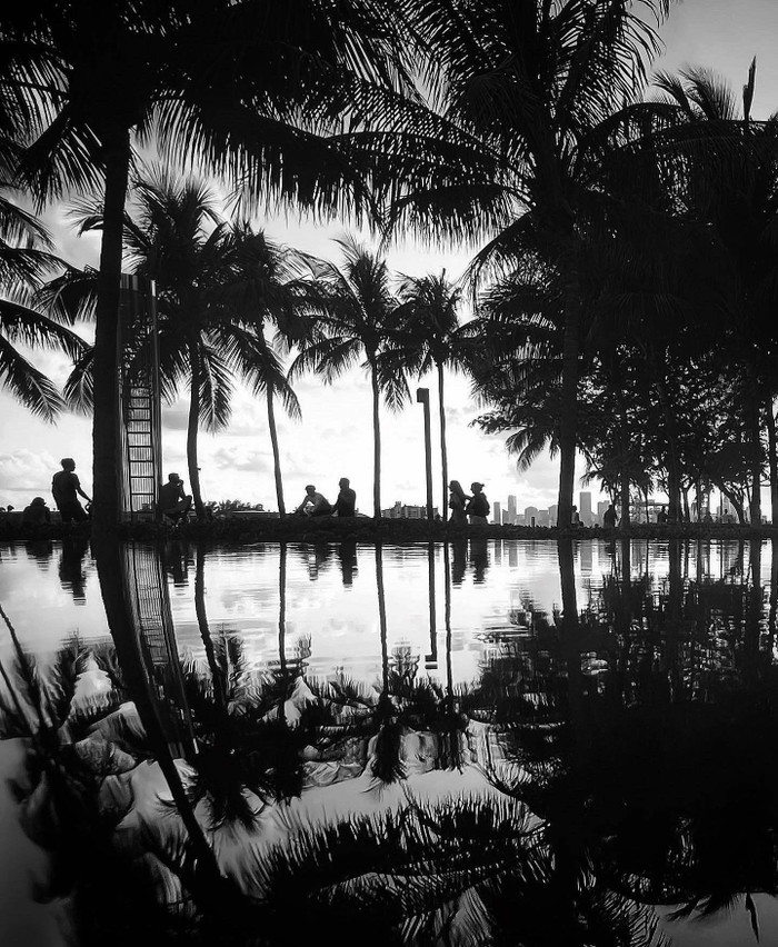 Collection 56 photo by Kim Abbas