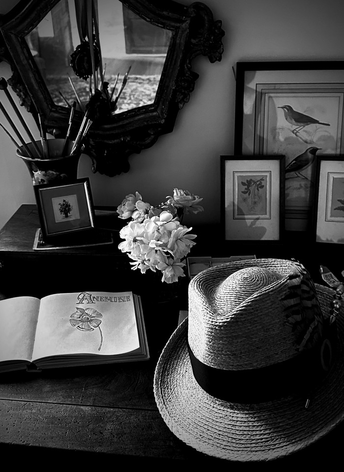 Collection 76 photo by Zoe Calichman