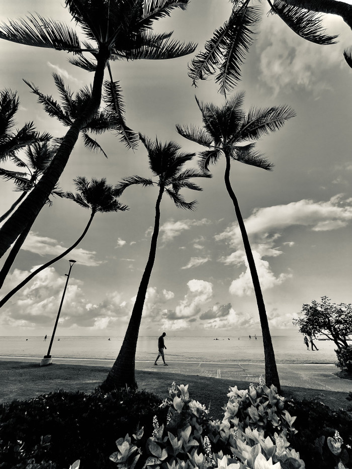 Collection 92 photo by Cam Green