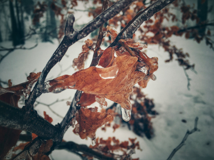 Collection 5 photo by Irina Pasin