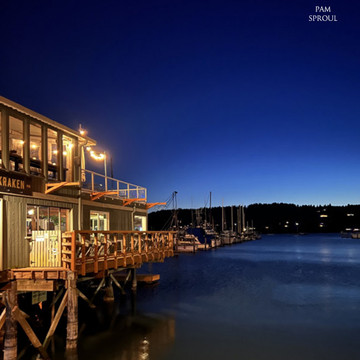 Photo de galerie 1
