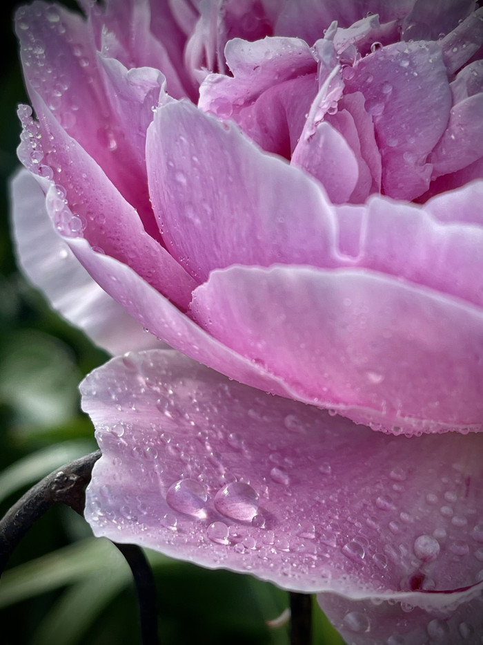 Collection 59 photo by Sheree Zielke