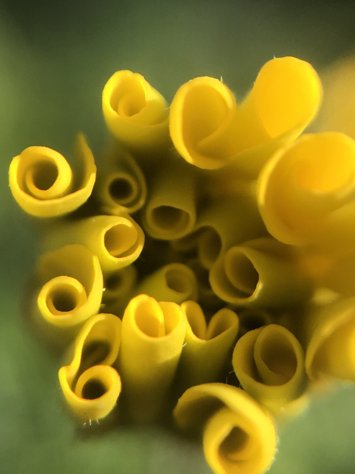 Collection 34 photo by Naveen Aggarwal