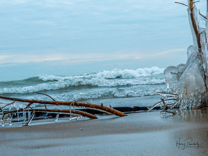 Collection 33 photo by Harry Pancholy