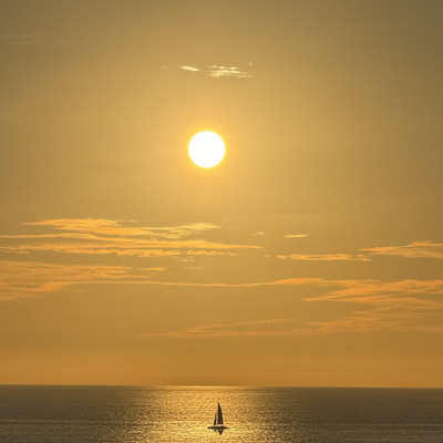 Foto de galería 1