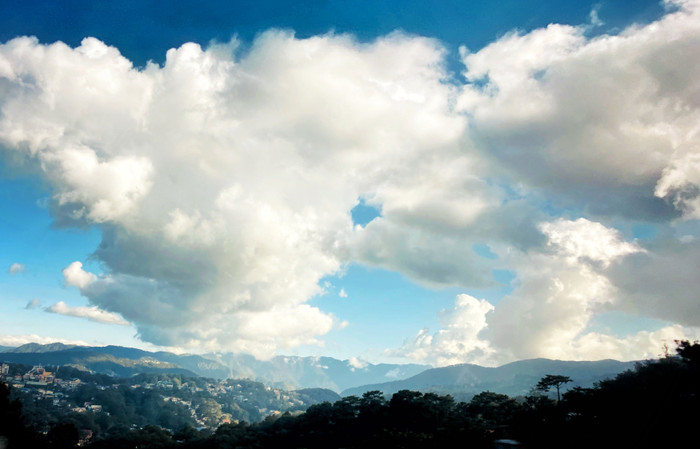 Collection 44 photo by Nelson Fajardo