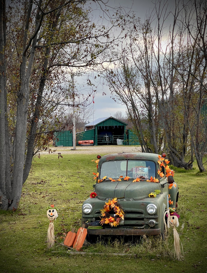 Collection 75 photo by Sheree Zielke