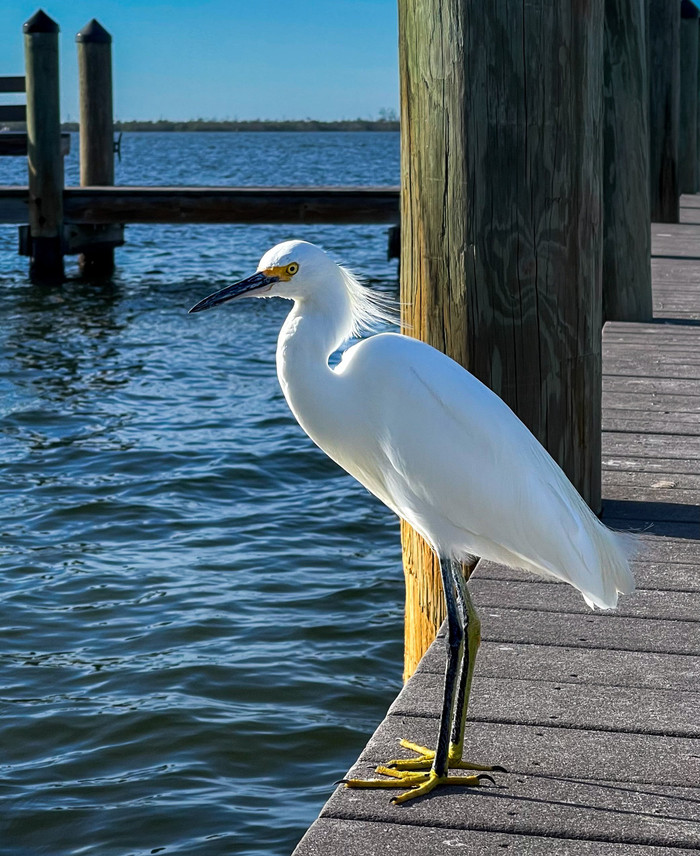 Collection 65 photo by Karen Truter