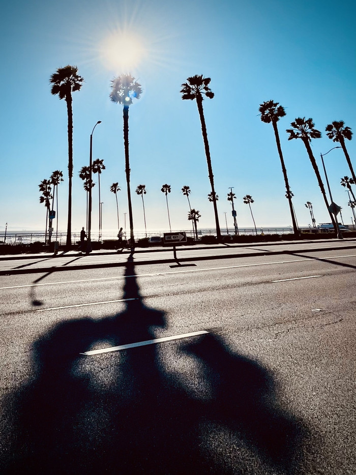 Collection 91 photo by Cam Green