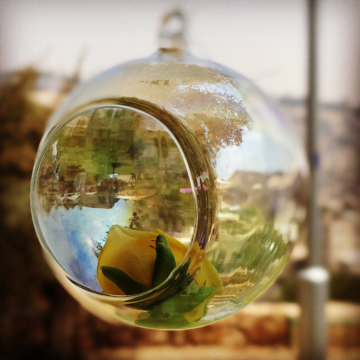 Collection 58 photo by Audrey Knafo