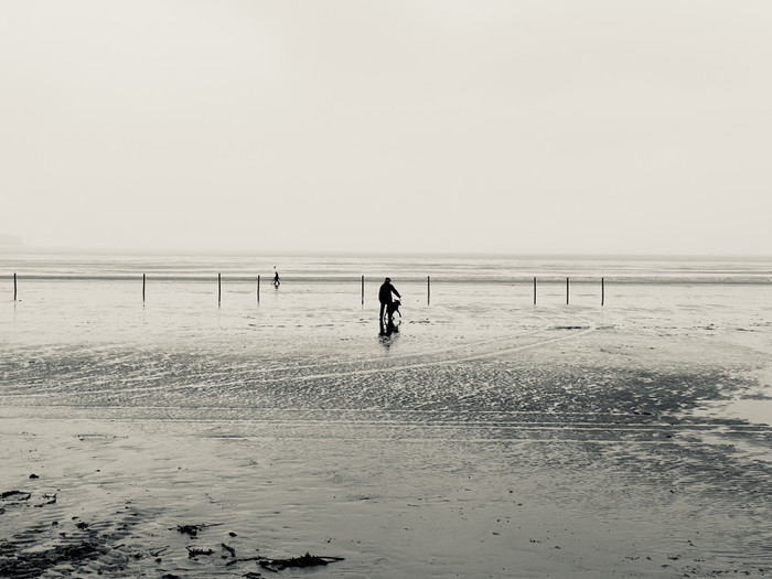 Collection 78 photo by Abbie Asadi