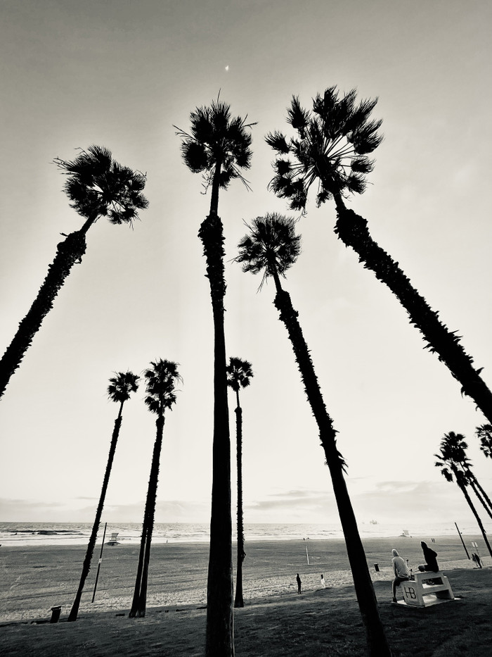 Collection 82 photo by Cam Green