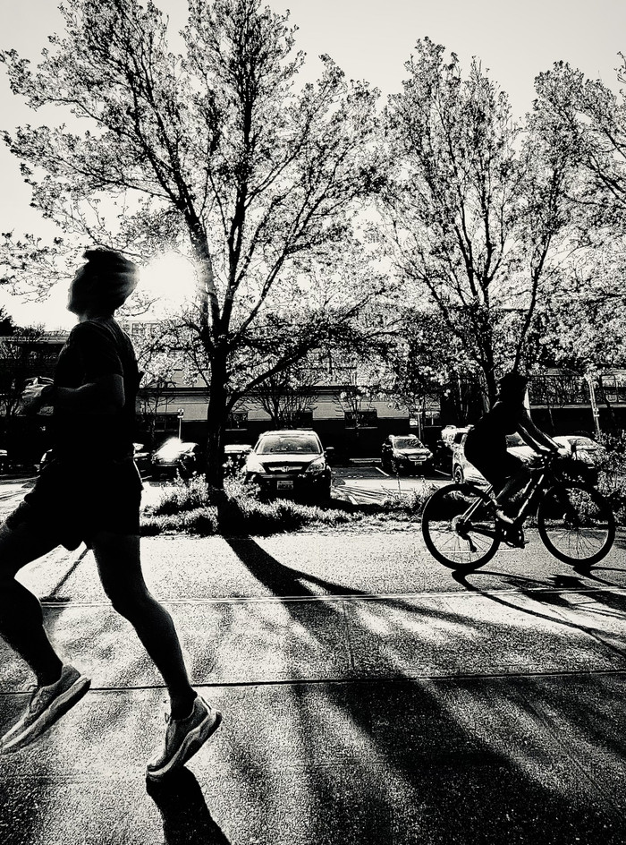 Collection 92 photo by Cam Green