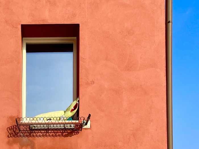 Collection 107 photo by Maurizio Zanetti