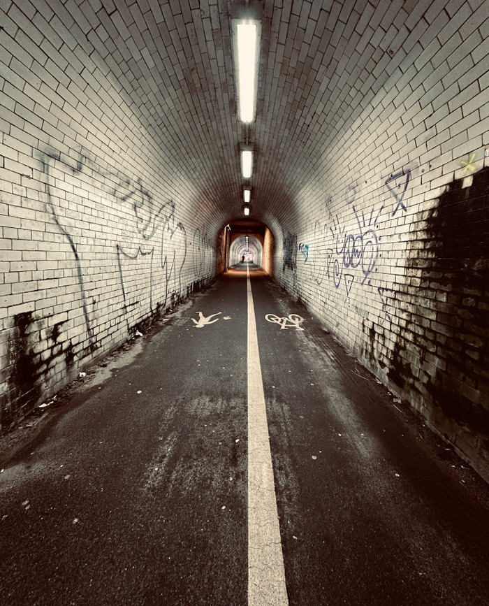 Collection 89 photo by Abbie Asadi
