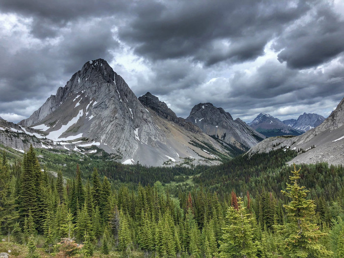 Collection 66 photo by Candice Parno