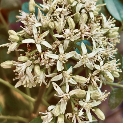 Foto de galería 2