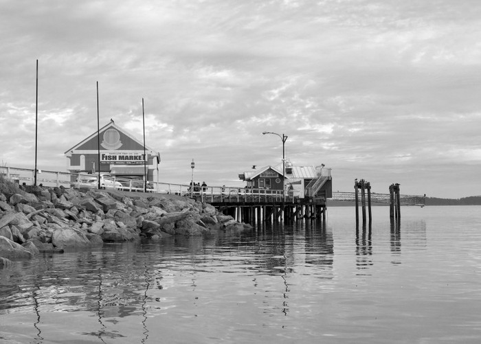 Collection 19 photo by Sheree Zielke