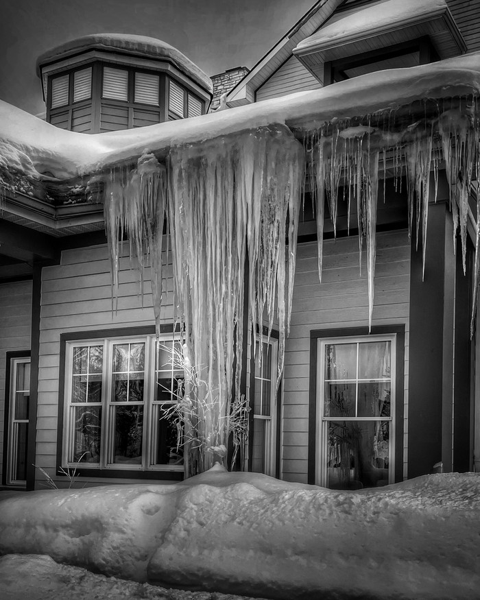 Collection 90 photo by Dianne Mccarthy
