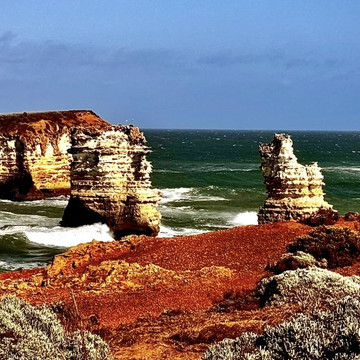 Foto de galería 1