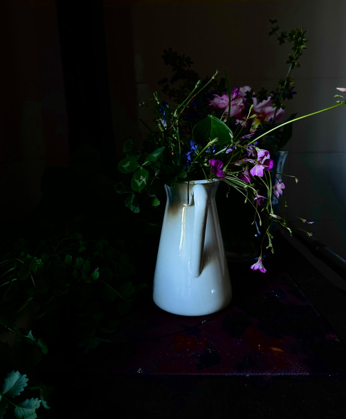 Collection 64 photo by Abbie Asadi