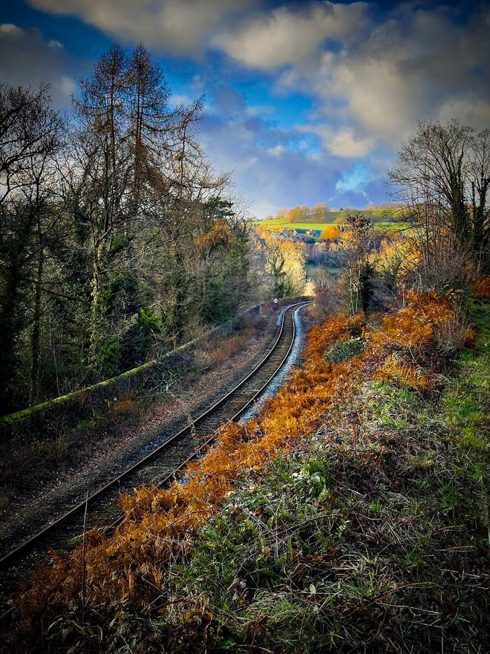 Collection 102 photo by Paul Deverill