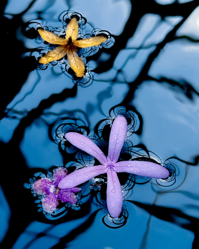 Collection 92 photo by Jennifer Newitt