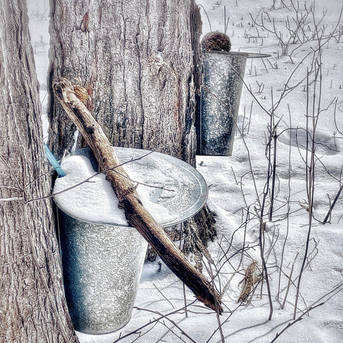 Collection 67 photo by Dianne Mccarthy