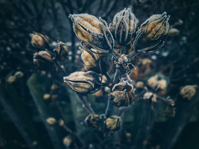 Collection 6 photo by Irina Pasin