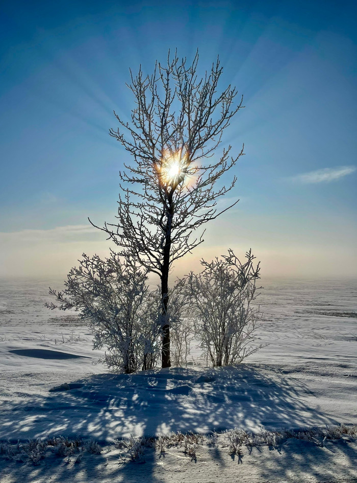 Collection 64 photo by Sheree Zielke