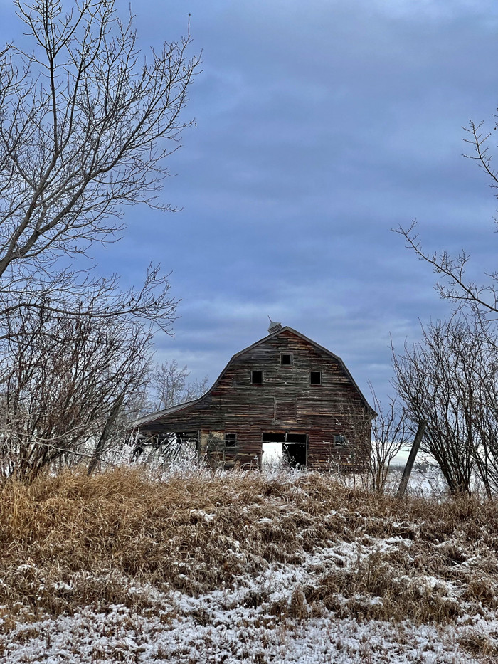 Collection 76 photo by Sheree Zielke