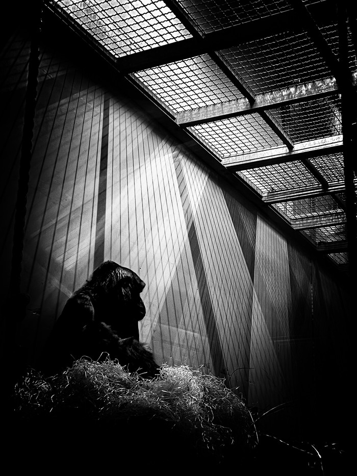 Collection 76 photo by Dewi Segers