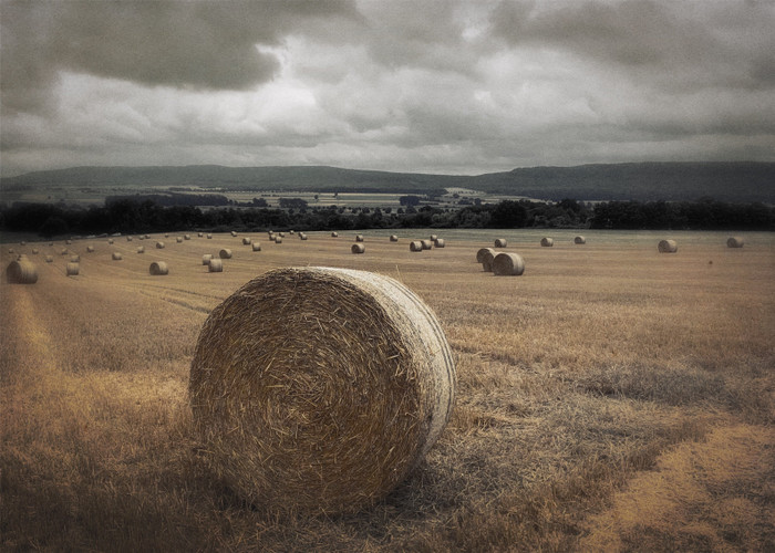 Collection 58 photo by Paulo Fernandes