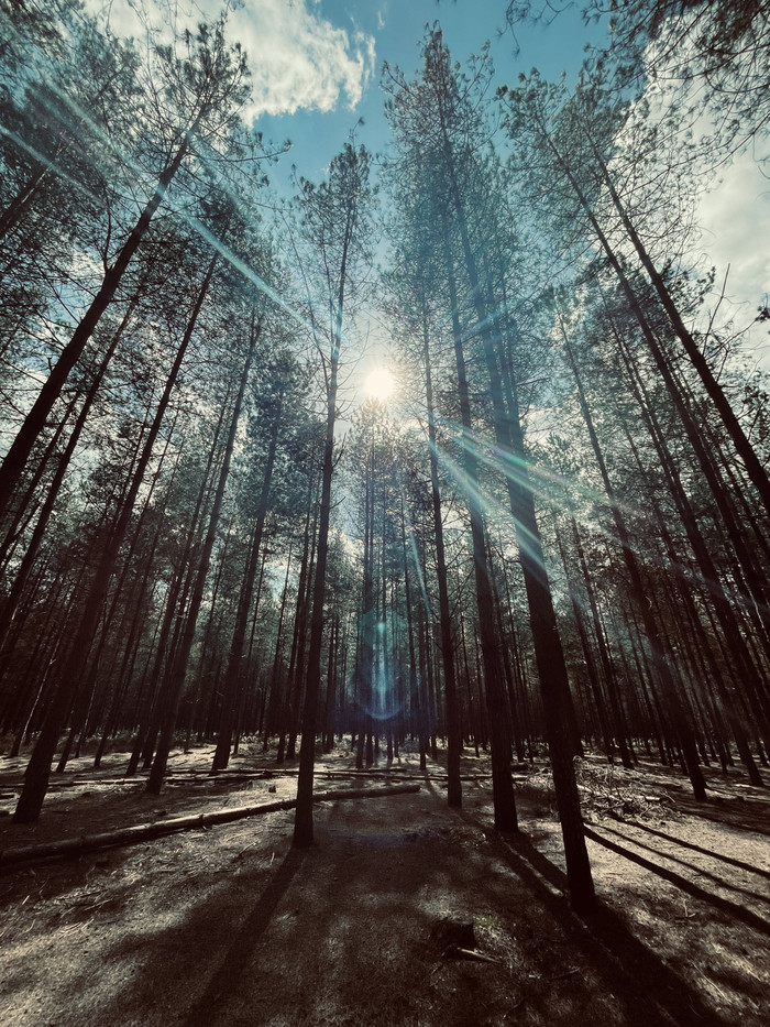 Collection 56 photo by Abbie Asadi
