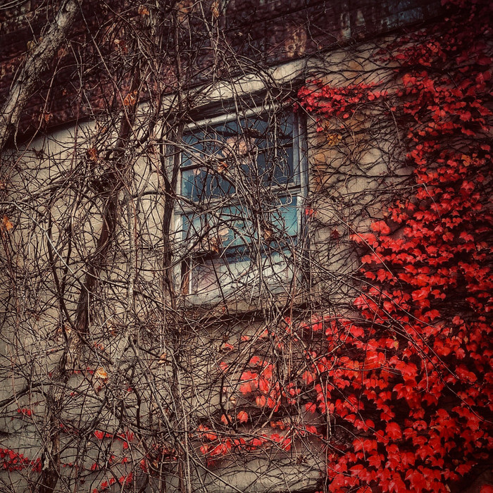 Collection 69 photo by Dianne Mccarthy