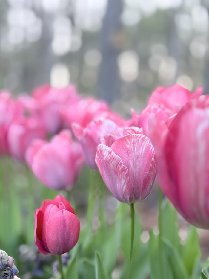 Collection 104 photo by Sandi Asplund