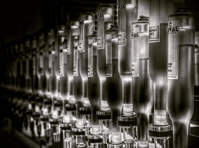 Collection 48 photo by Naveen Aggarwal
